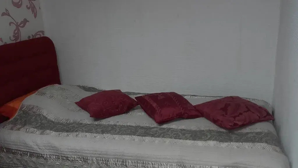 Apartment Red Rose