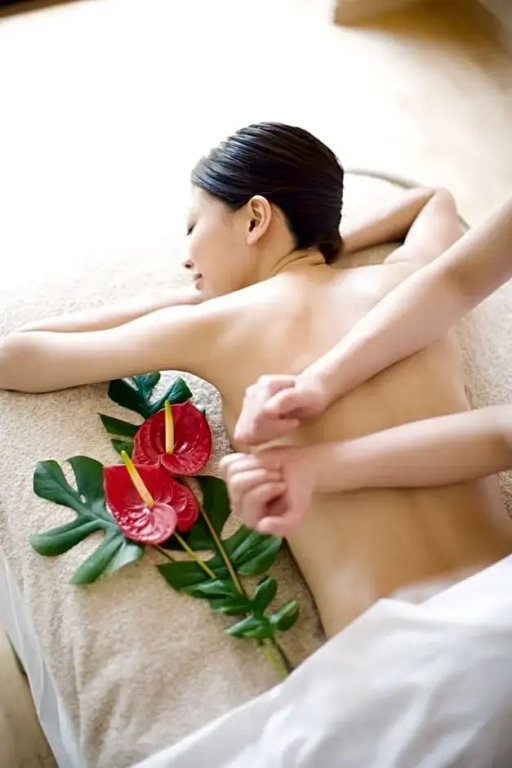 Pleasure Resort Izu Akazawa Onsen