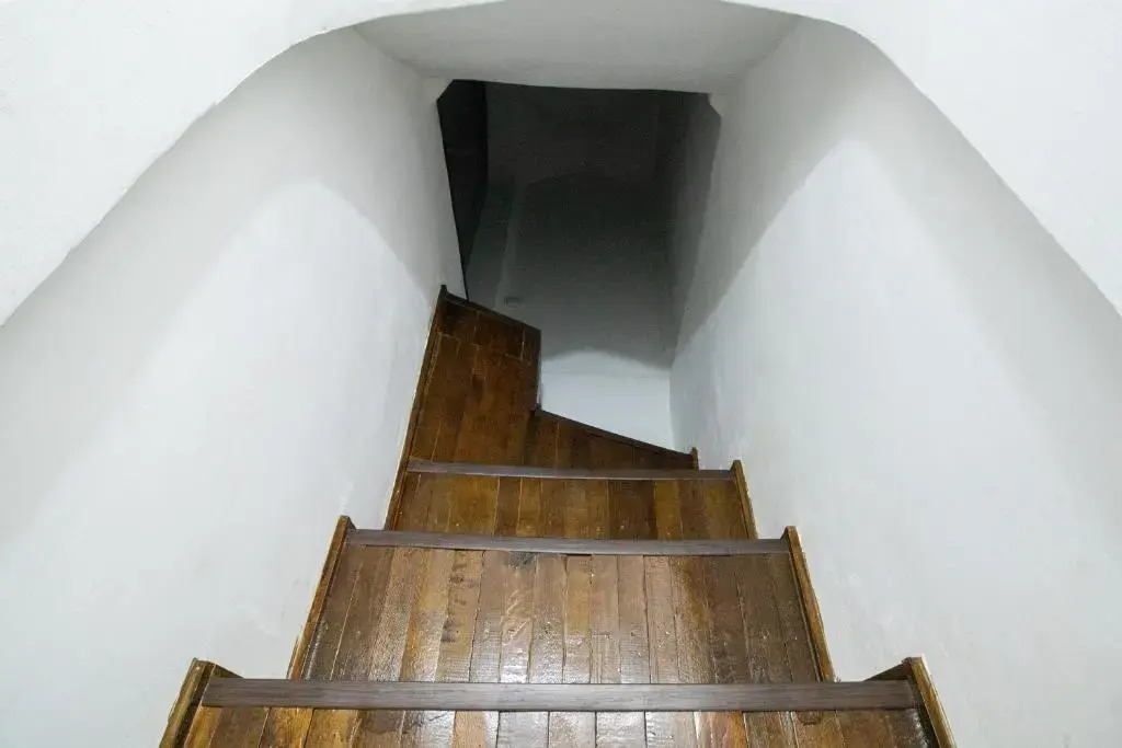 Bukhara Zaringiz PREMIUM