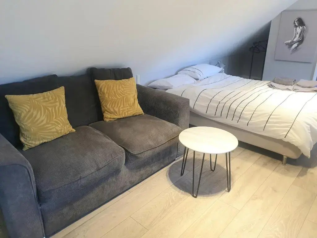 Contemporary Style Studio
