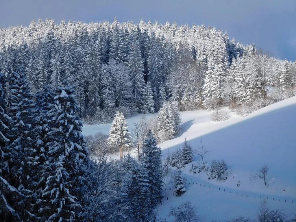 Urlaub am Bauernhof Blamauer Köhr