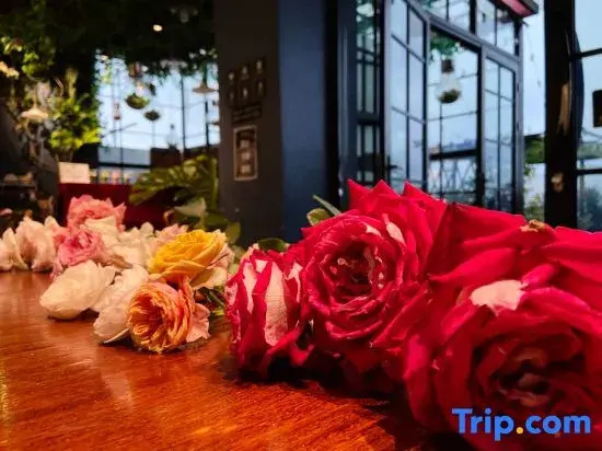 SeeSea｜ Vintage Garden Oceanfront Boutique Hotel