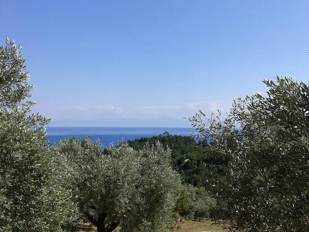 Ilias Studios - Rooms