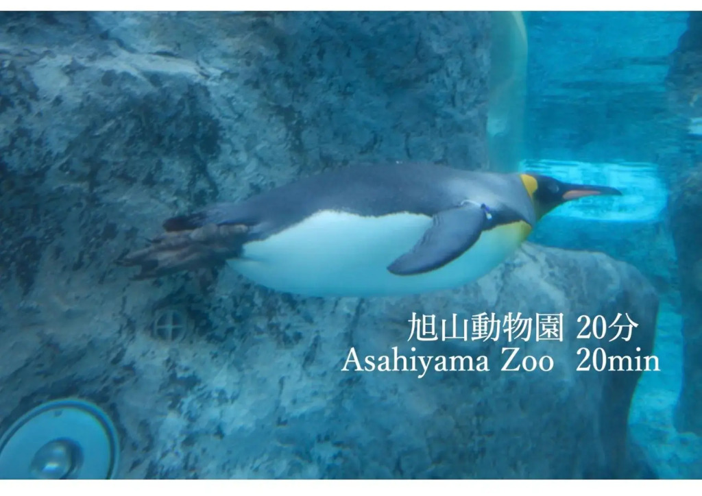 旭川貸切一軒家プラスティ