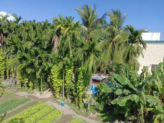 Yuju Island Homestay