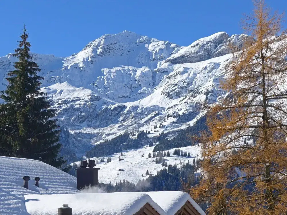 Hundschopf Am Lehn Lauterbrunnen
