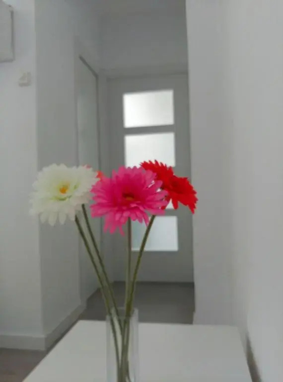 Apartamento Carabanchel Castizo