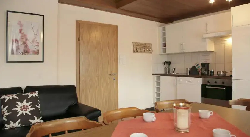 Edelweiss Lake Apartments Zell am See