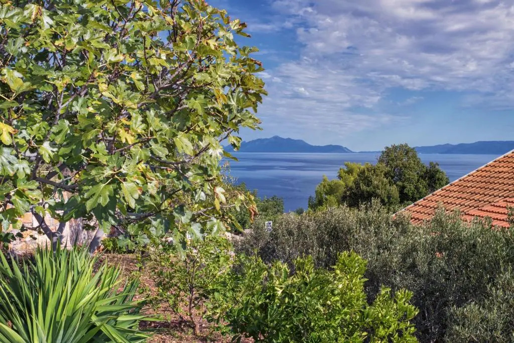 Villa Cincilograd