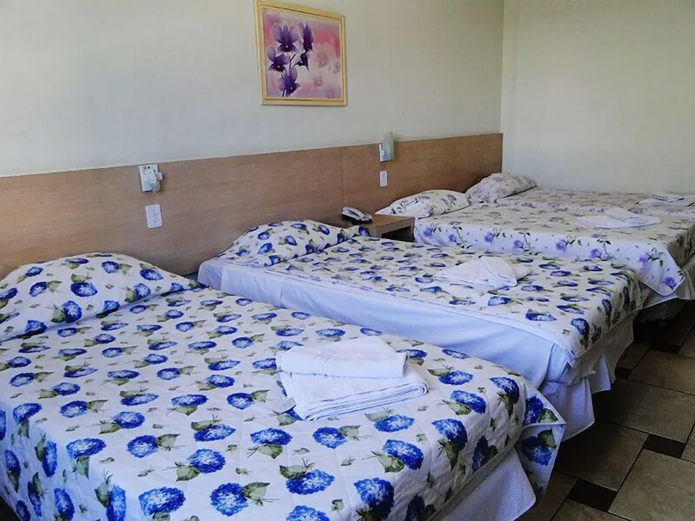 Alzira Park Hotel Ltda