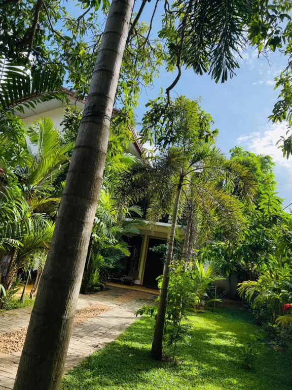 Yala Southern Homestay