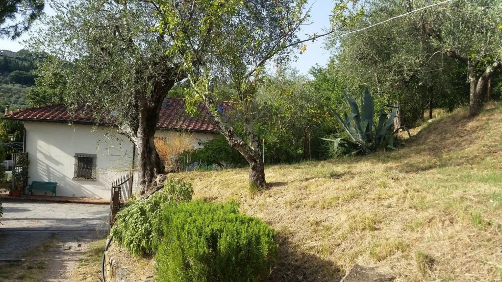 Poggio Oliva