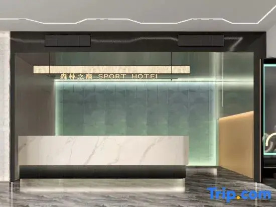 Top of the Forest Esports Hotel (Guangzhou Huashi Subway Station)