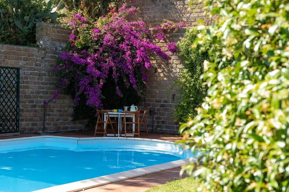 Olvietello - Suite in Trevignano Romano