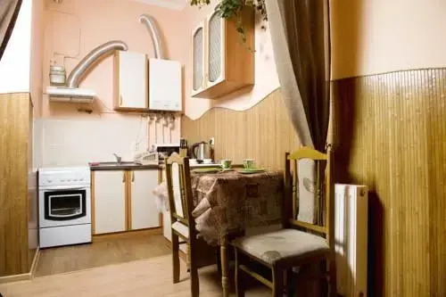 Lviv Centre Apartment