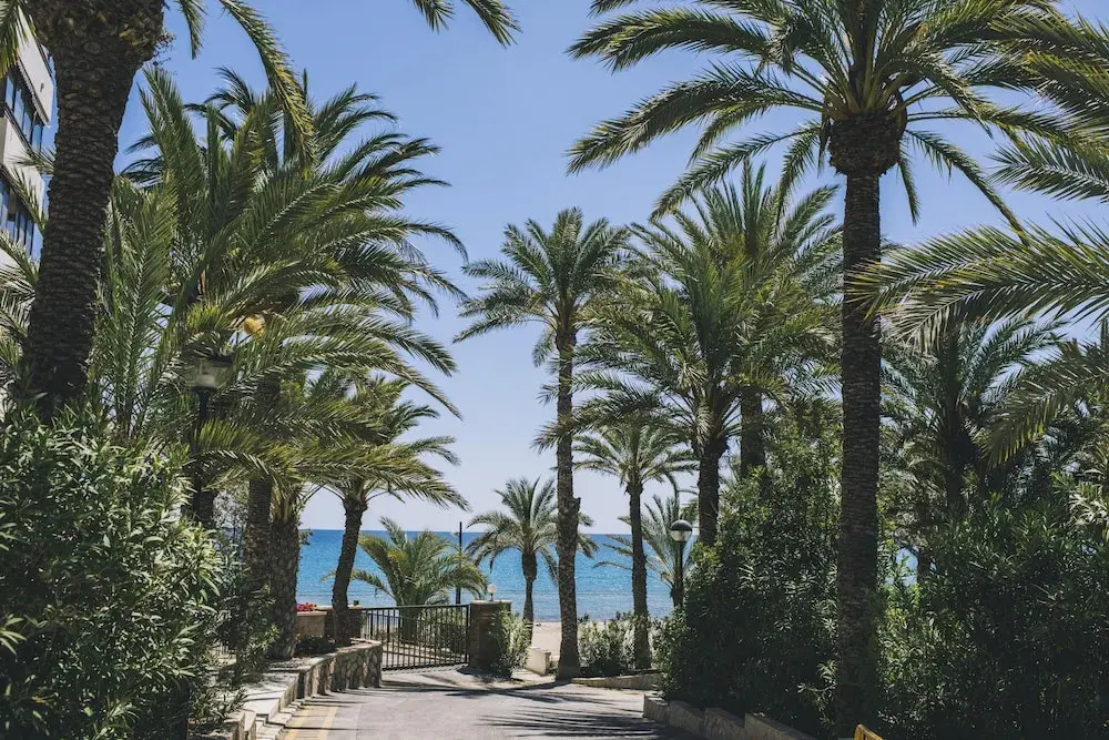 Beferent - Raspeig Playa San Juan