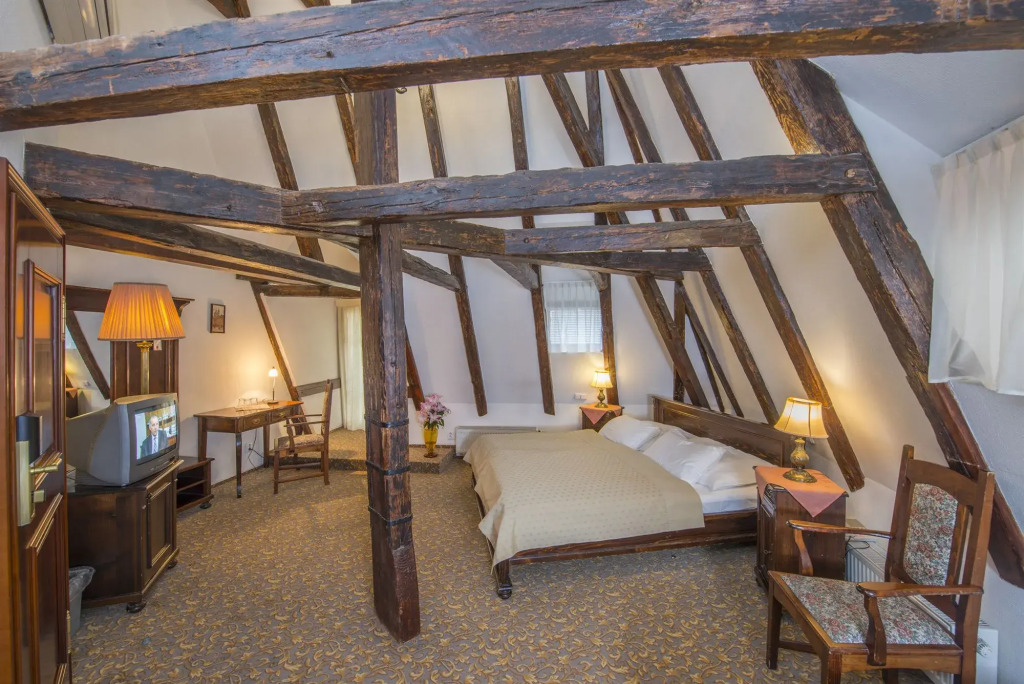 Hotel Cerny Slon