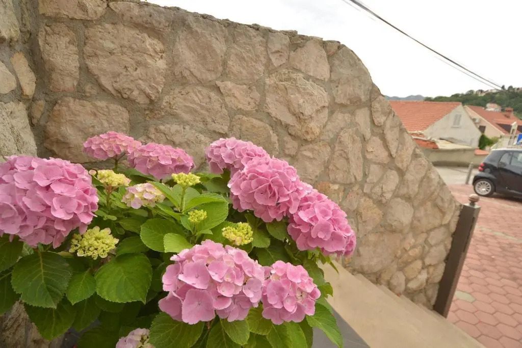 Apartments Mirela