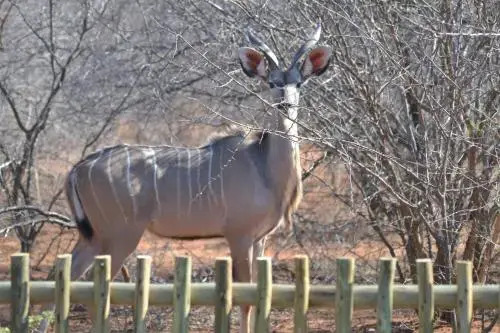 Thuhlo Lodge
