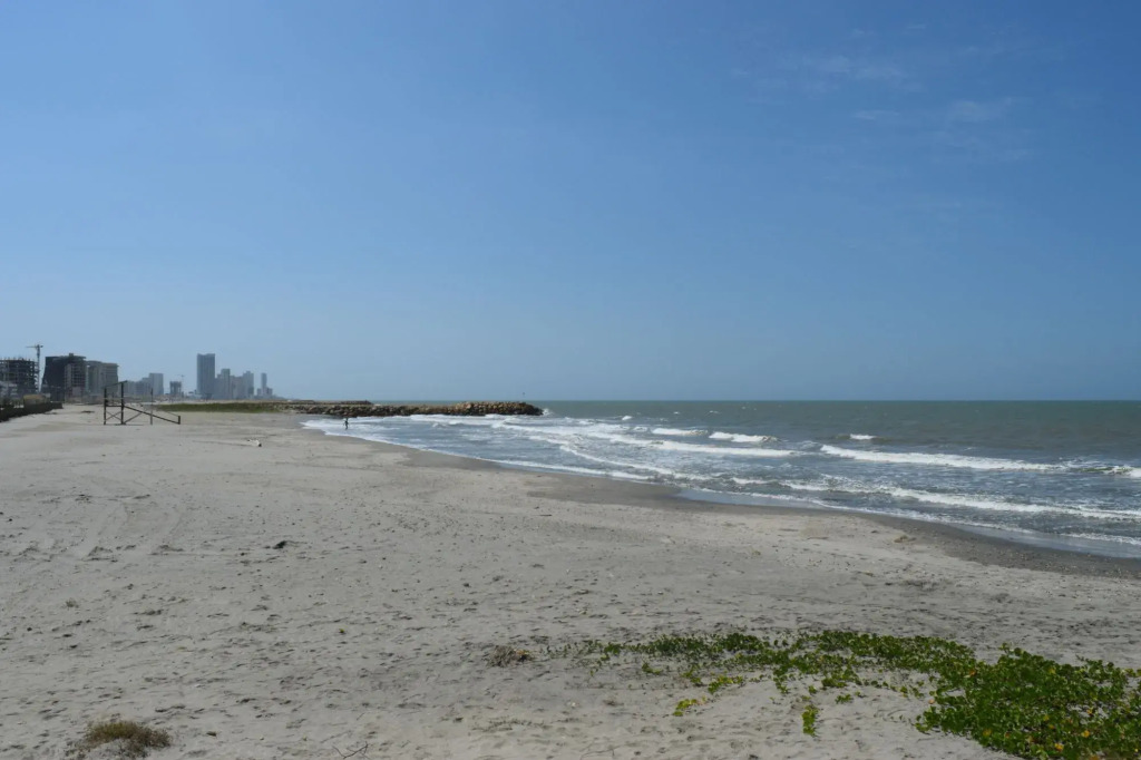 Wonderland Cartagena