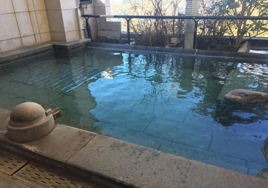 Hotel Koryu