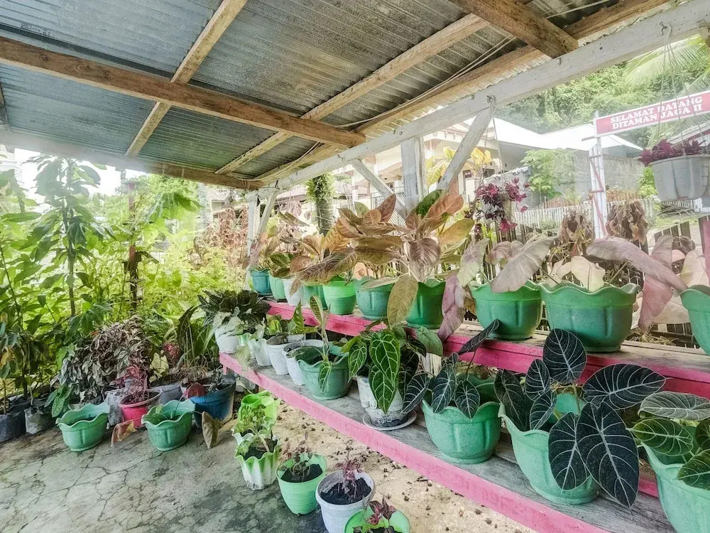 OYO Homes 91148 Homesstay Desa Wisata Bahoi Near Ekowisata Mangrove Desa Bahoi