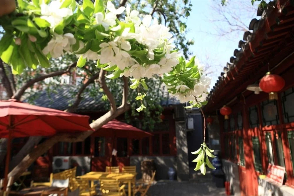 Flowering House Courtyard Hotel