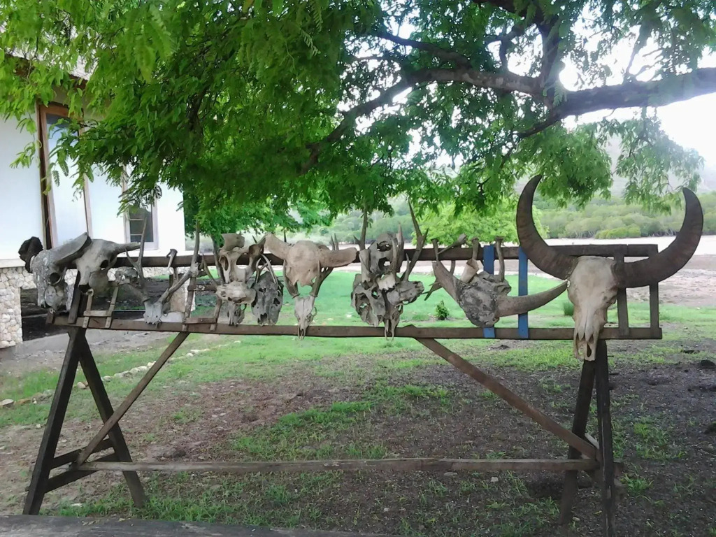 L Bajo Hotel