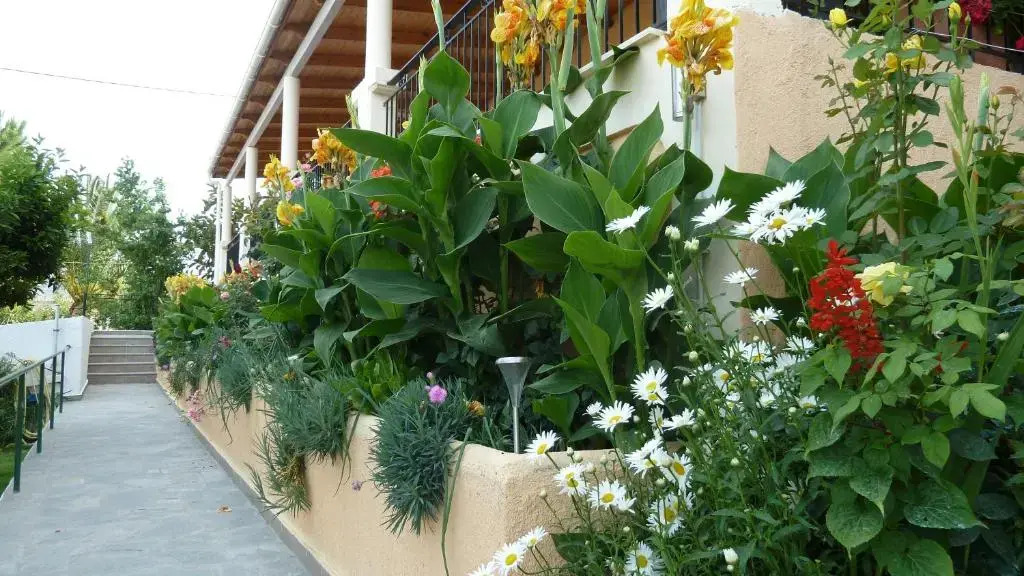 Anna Studios