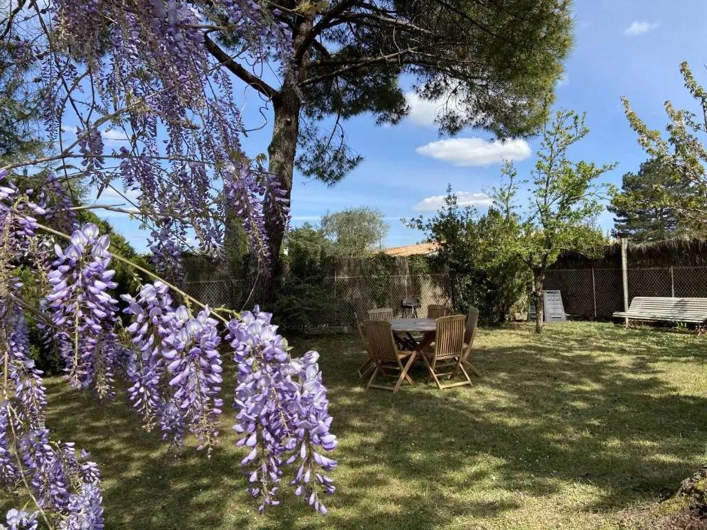 Maison Saint-Palais-sur-Mer, 4 pièces, 6 personnes - FR-1-539-21