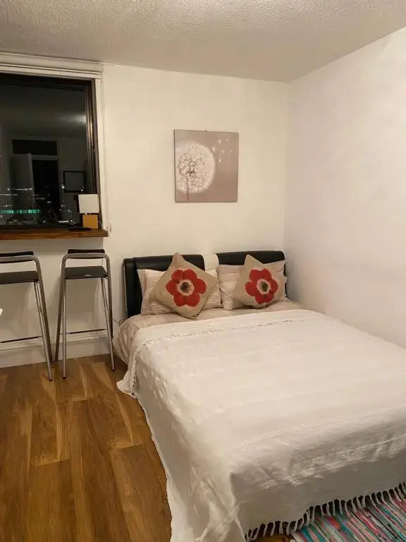 Room in Central London Overview Thames