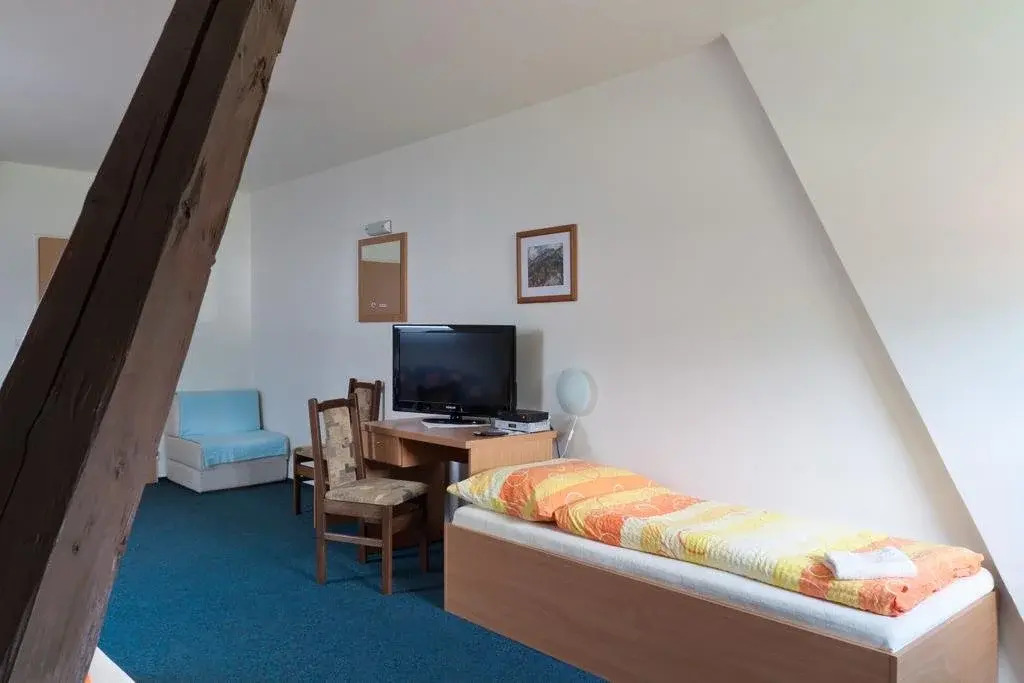 Hotel Konik