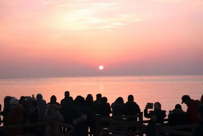 Busan Aloha Pension