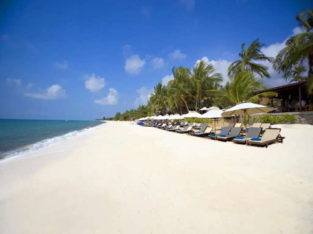 Thai House Beach Resort