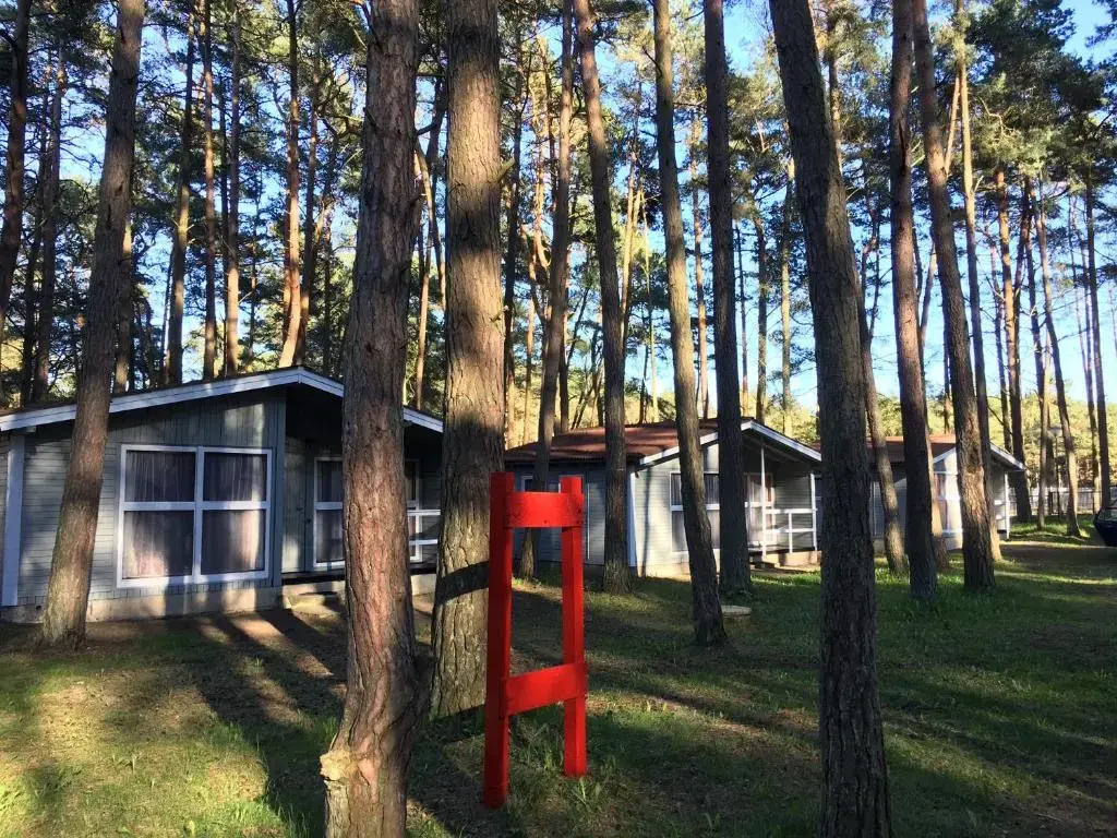 Leśna Przystań