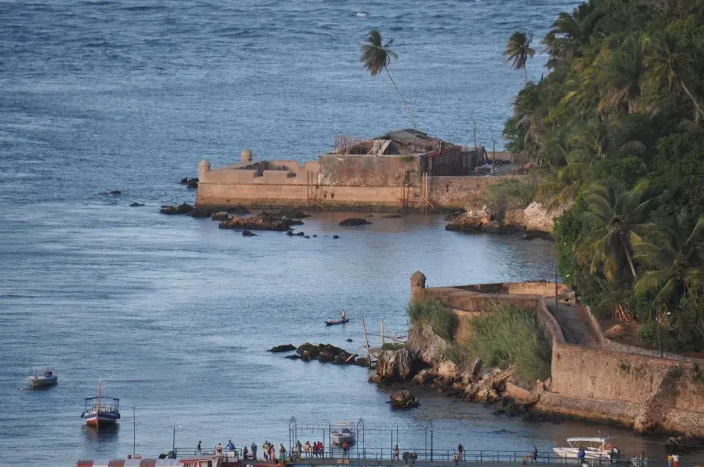 Local Brasil House