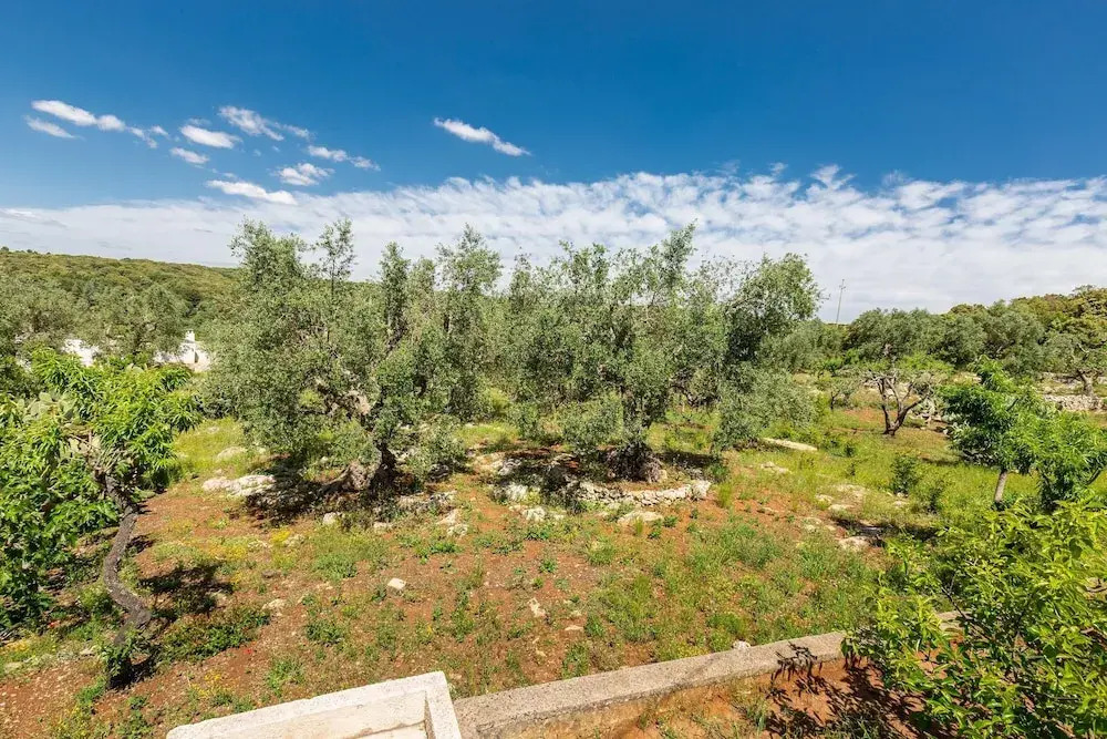 2421 Il Pagghiere by Perle di Puglia