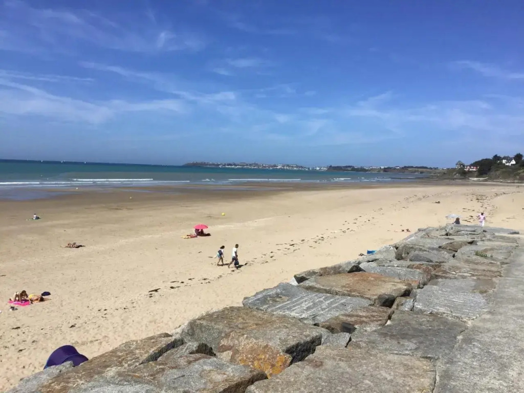 Beachdisa