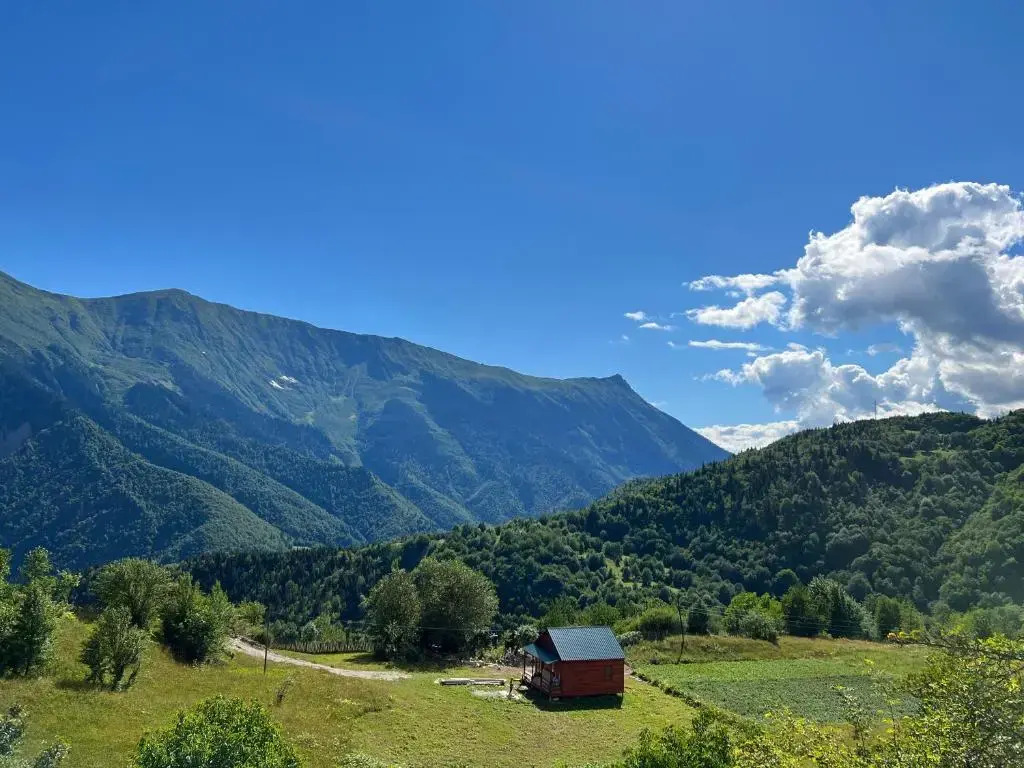 Pari Paradise