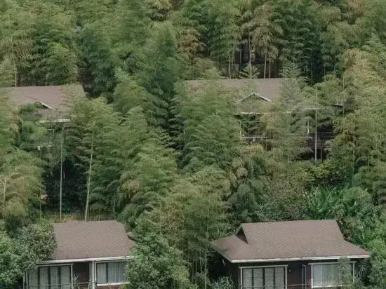 Nature Valley