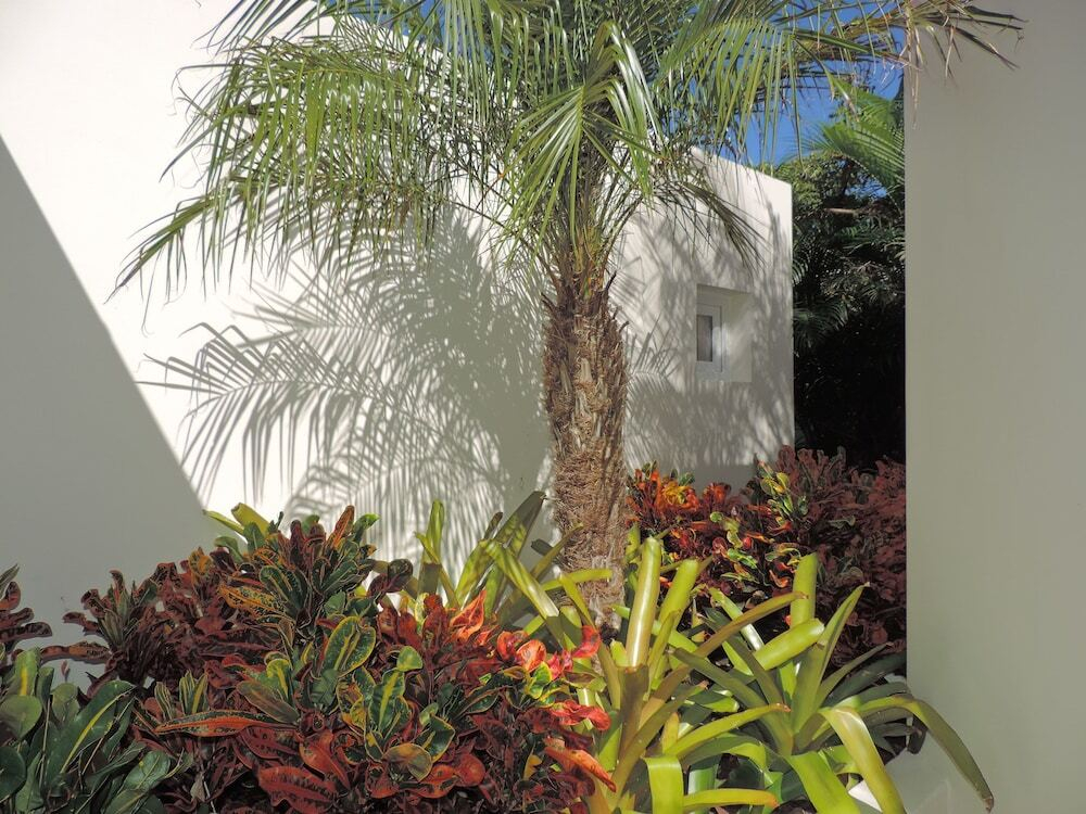 Dream Villa Grand Cul de Sac 879