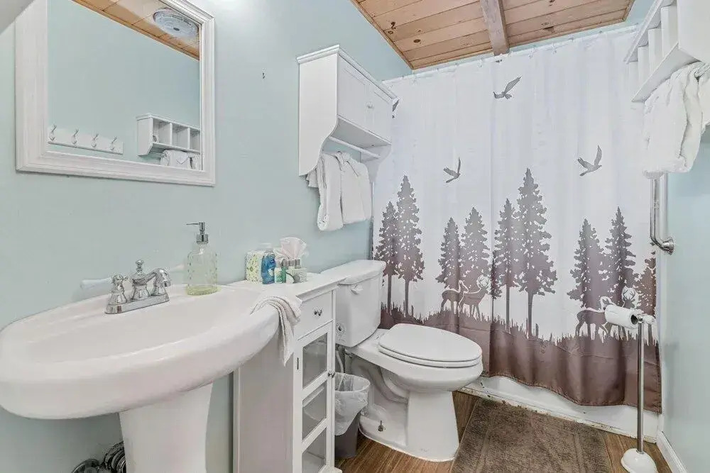 Jaybird'S Cabin