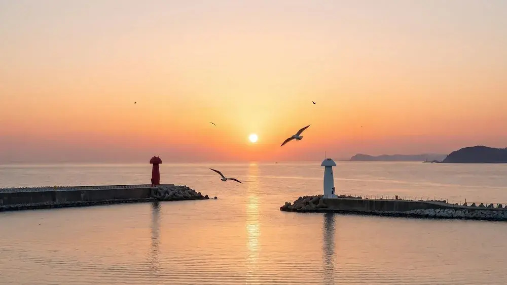 Beautiful Sea Pet-frie Pension, Yangyang