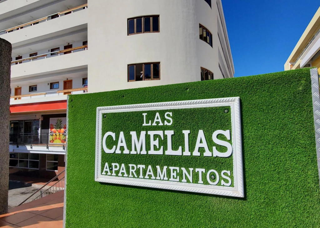 Vivienda Vacacional - LAS CAMELIAS APARTMENTS #10