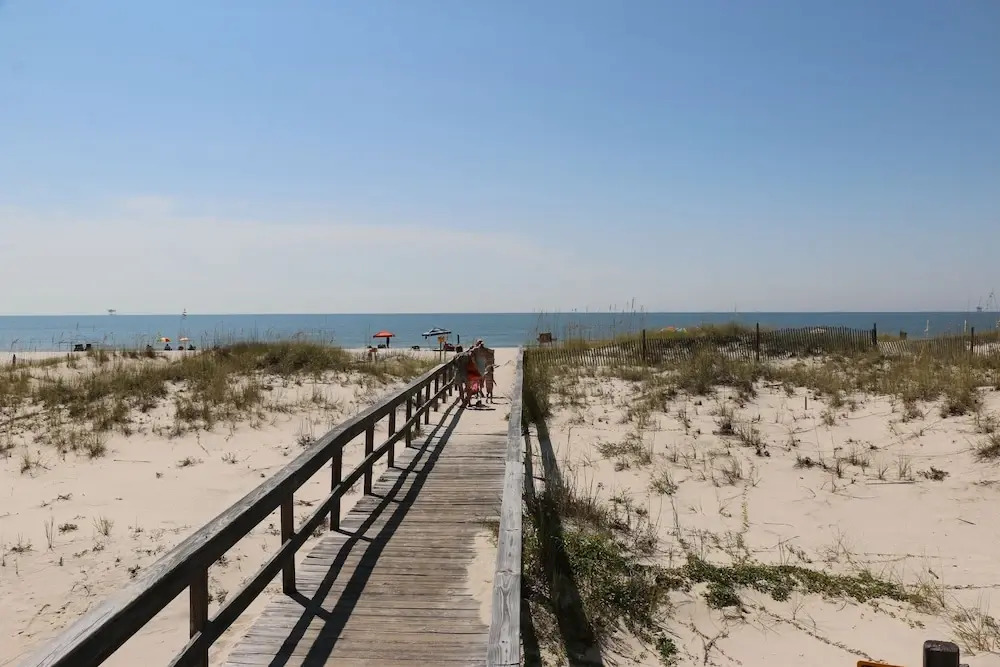 Dunes 104
