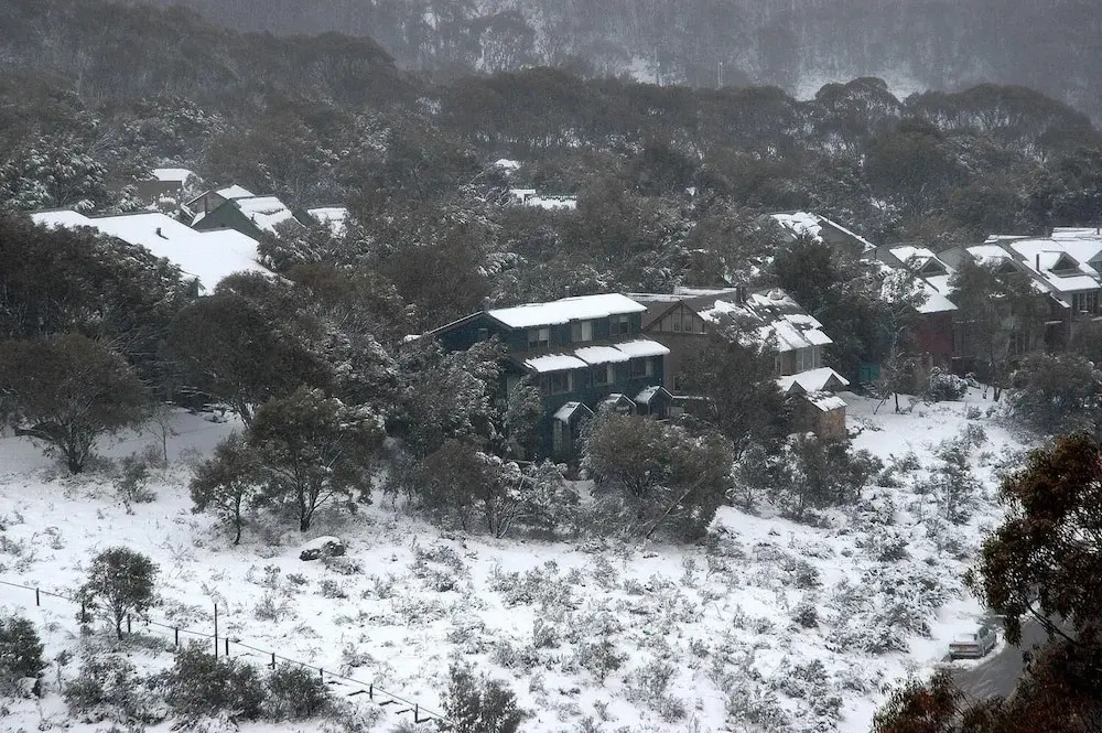Three Bears 2 - Thredbo