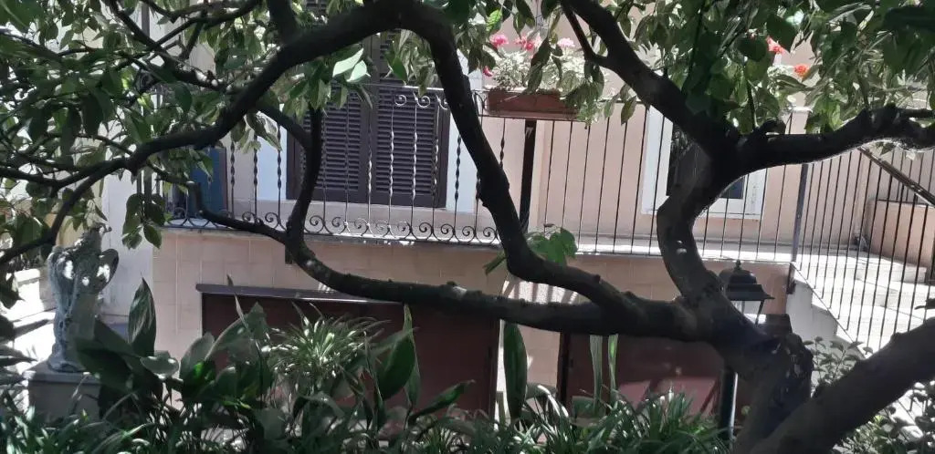 Gioia Guest House