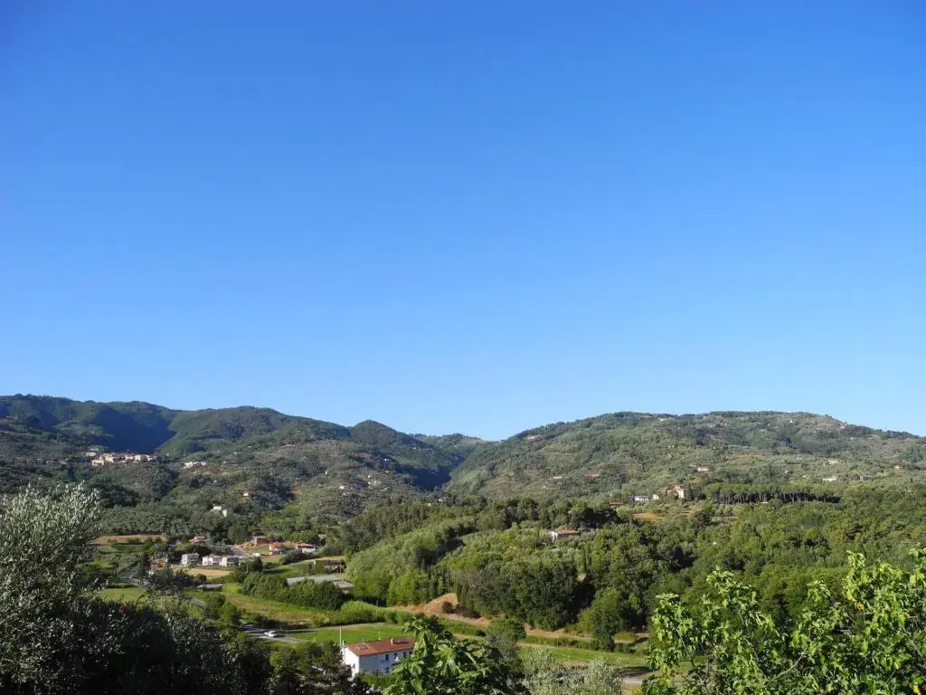 Casa del Pino