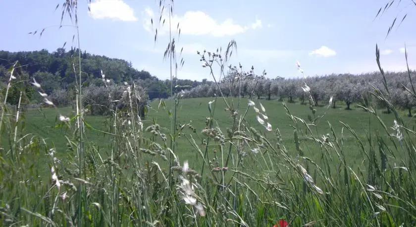 Country House San Giorgio