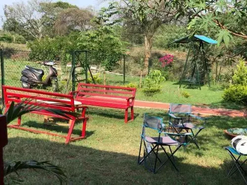 Wild Valley Nature Club